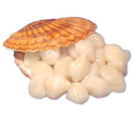 Hotate 10/20 - SCALLOPS WITHOUT ROE (RAW)