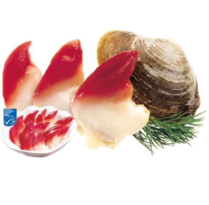 Hokkigai "L" 41/50 IQF - ARCTIC SURFCLAMS (SHELL-OFF, BLANCHED)